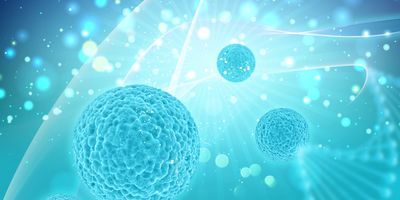 Computer render of cells and DNA