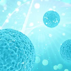 Computer render of cells and DNA