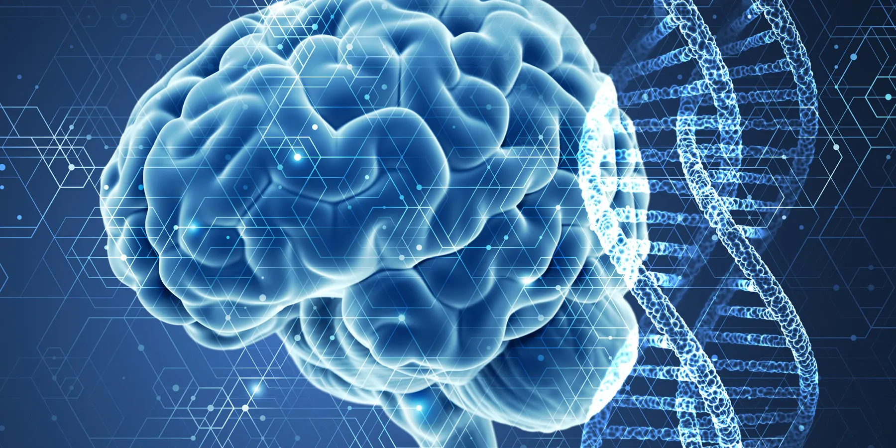 NIH Researchers Unlock Pattern of Gene Activity for ADHD Computer image of human brain and DNA