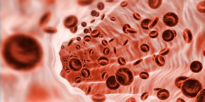 Computer image of red blood cells in a vein