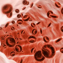 Computer image of red blood cells in a vein