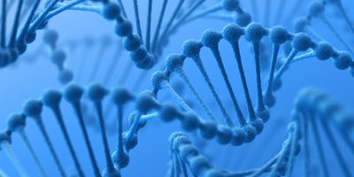 Computer image of DNA strands