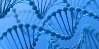 Computer image of DNA strands