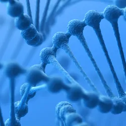 Computer image of DNA strands