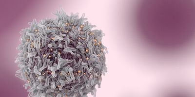 Cancer Cell
