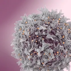 Cancer Cell