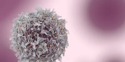 Cancer Cell