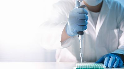 Scientist using pipette