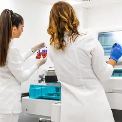 Scientists analyzing samples