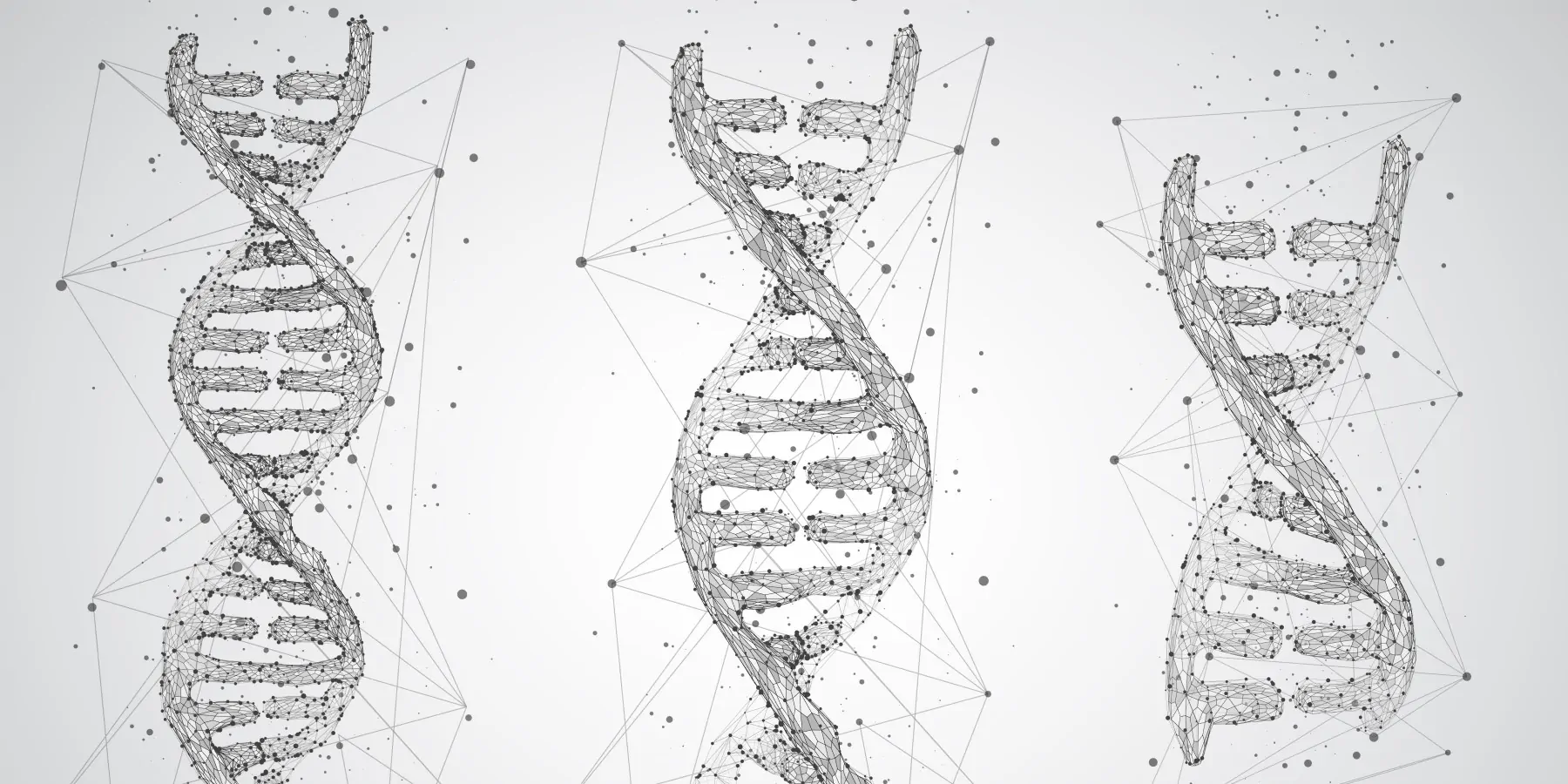 Vector image of DNA on a grey background