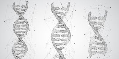Vector image of DNA on a grey background