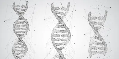 Vector image of DNA on a grey background