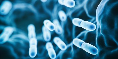 Computer render of bacteria in a blue, 3D space