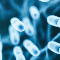 Computer render of bacteria in a blue, 3D space