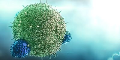 Computer image of cancer being attacked by antibodies