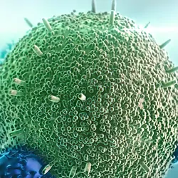 Computer image of cancer being attacked by antibodies