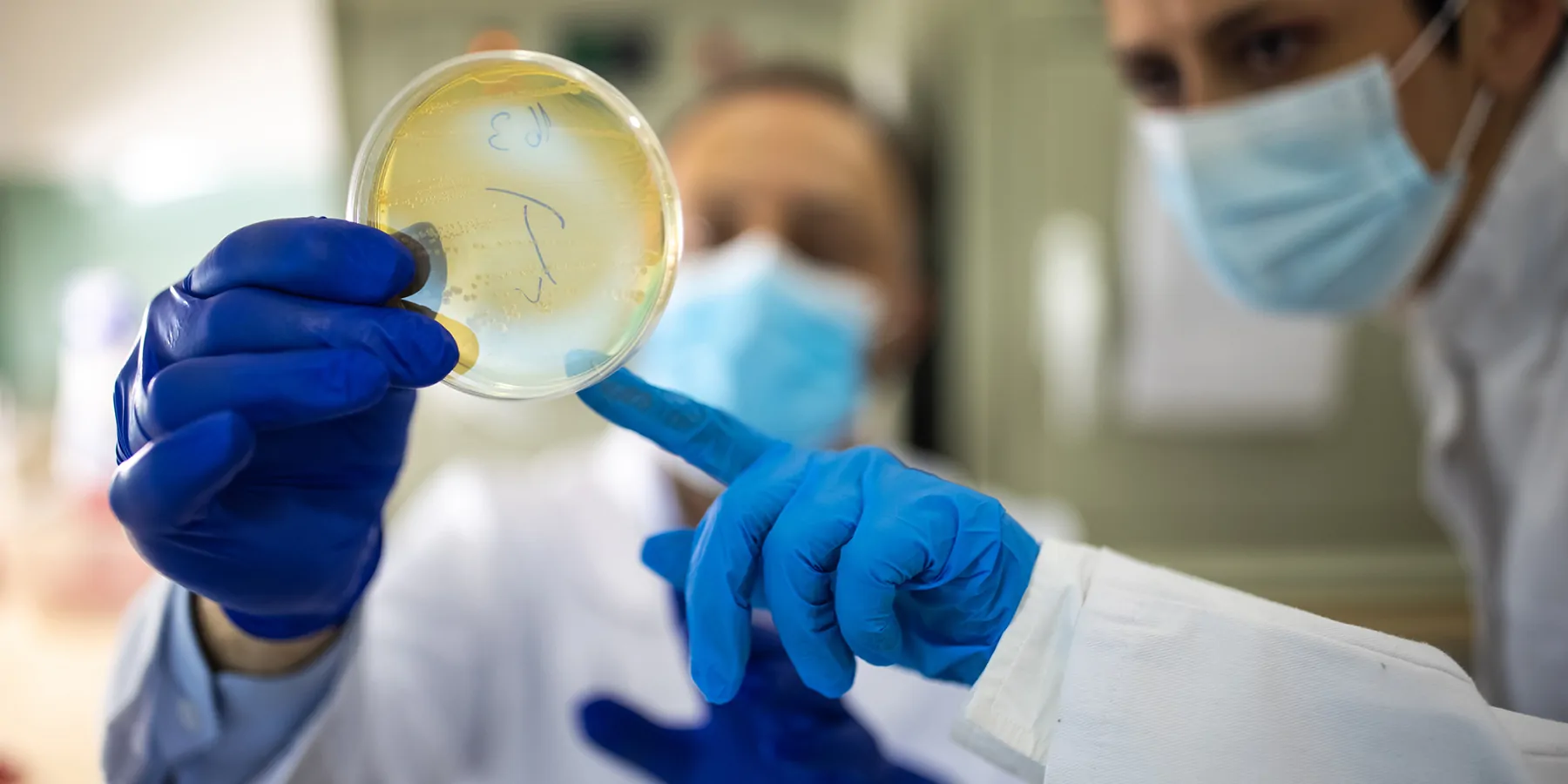 Two biologists examining a petri dish experiment