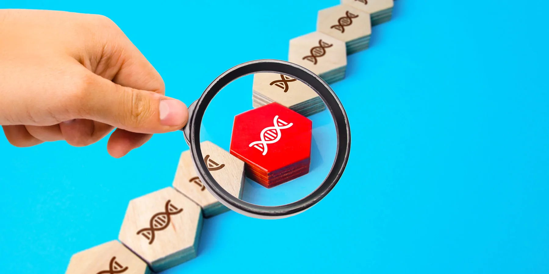 Wooden blocks with DNA strands carved on them under a magnifying glass, one block is red