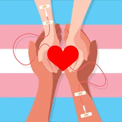 Illustration of two people receiving blood transfusions in their arms on a background of the transgender flag.