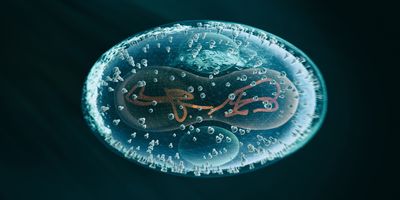 Computer image of the genetic material of the monkeypox virus