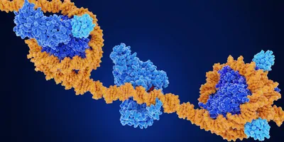 Computer image of DNA wrappedmy histones