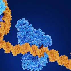Computer image of DNA wrappedmy histones