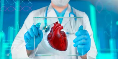 Doctor examining a human heart on a transparent, futuristic screen