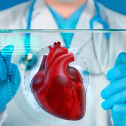 Doctor examining a human heart on a transparent, futuristic screen