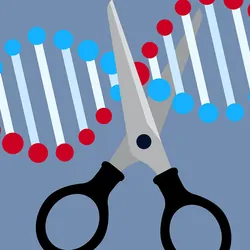 Vector image of scissors cutting DNA