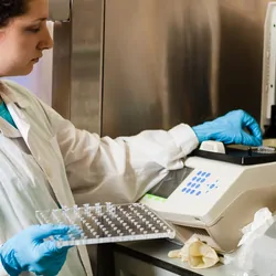Researcher performing a step in multiplex testing, specifically placing PCR tubes in the thermocycler.