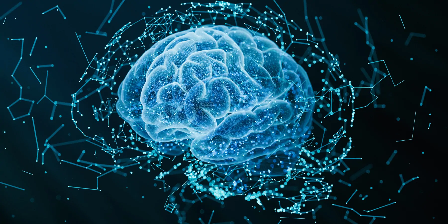 Computer image of the human brain on a black background
