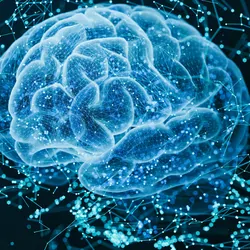 Computer image of the human brain on a black background