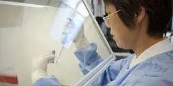 NIAID Vaccine Research Center scientist working in lab