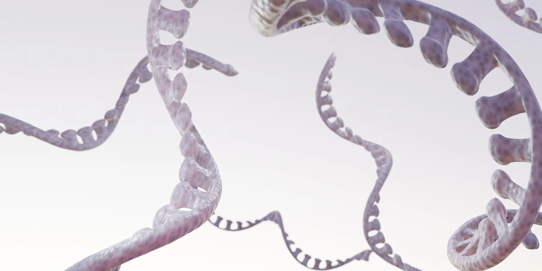Computer image of RNA on a white background