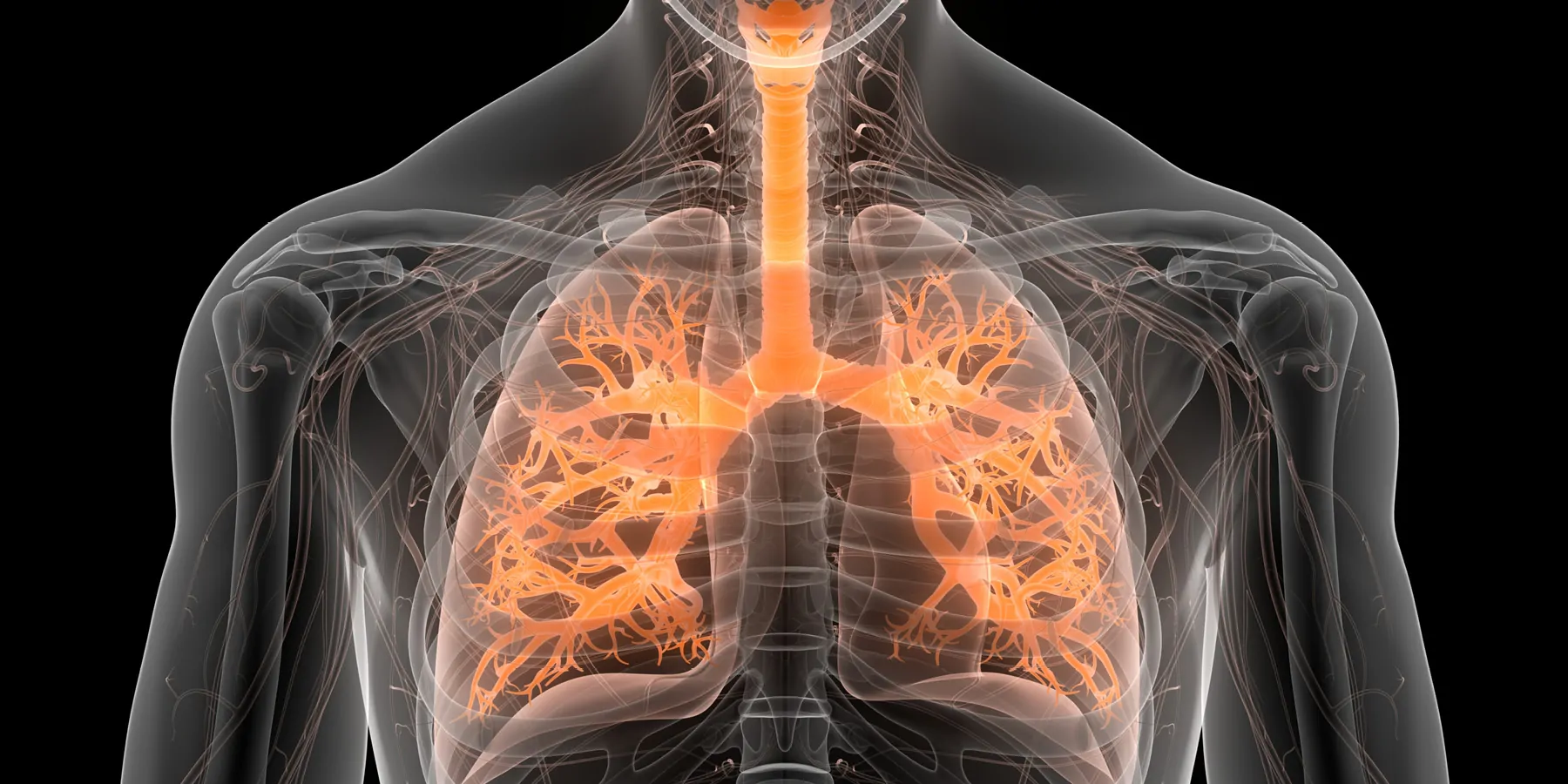 Computer image of an x-ray of human lung tissue on a black background