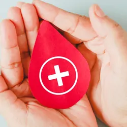 Person's hands holding a red foam stress ball that is in the shape of a blood droplet
