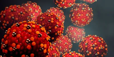 Computer images of measles viruse on a dark background