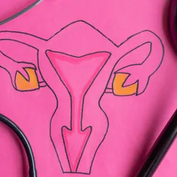 A gavel and a stethoscope on a pink table with female reproductive organs drawn on it
