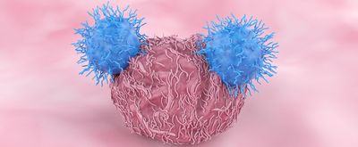 Blue T cells attach to pink cell with pink backdrop. 