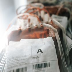 Type A blood in bags stored in gray blood bank fridge.