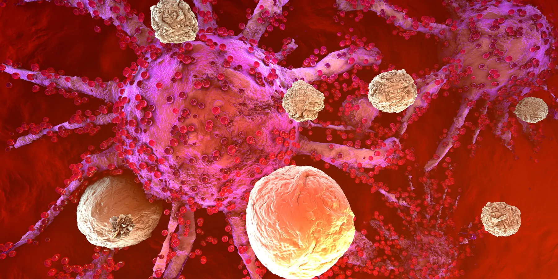 3D illustration of T cells of the immune system attacking cancer cells