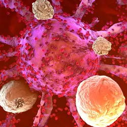 3D illustration of T cells of the immune system attacking cancer cells