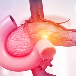 3D illustration of the anatomy of pancreas