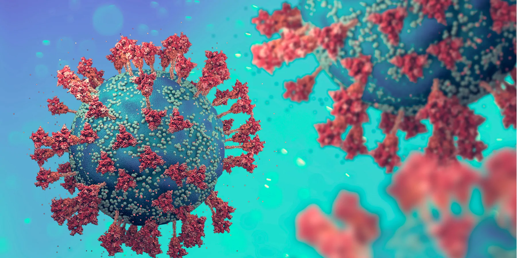 3D illustration of coronavirus showing its spike proteins.