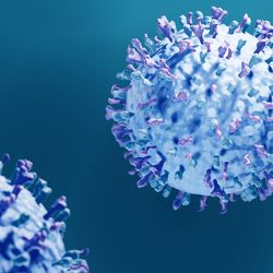 Everything You Need to Know about RSV