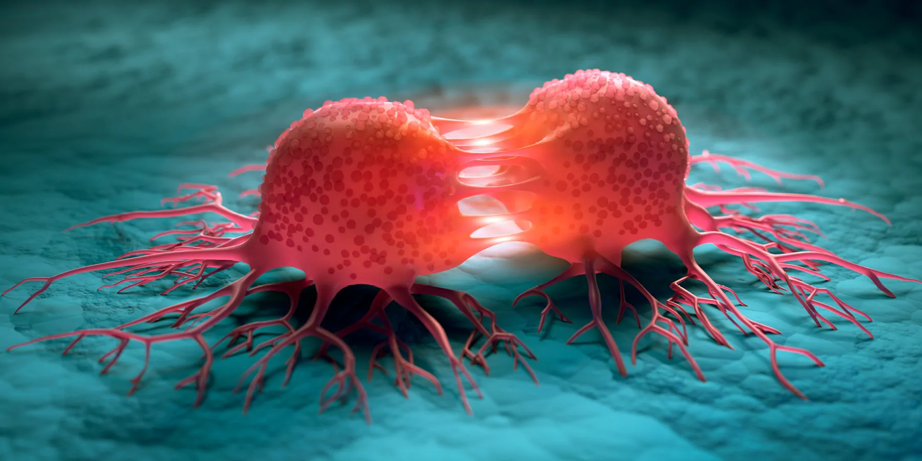 3D illustration of dividing cancer cells on a normal cell surface