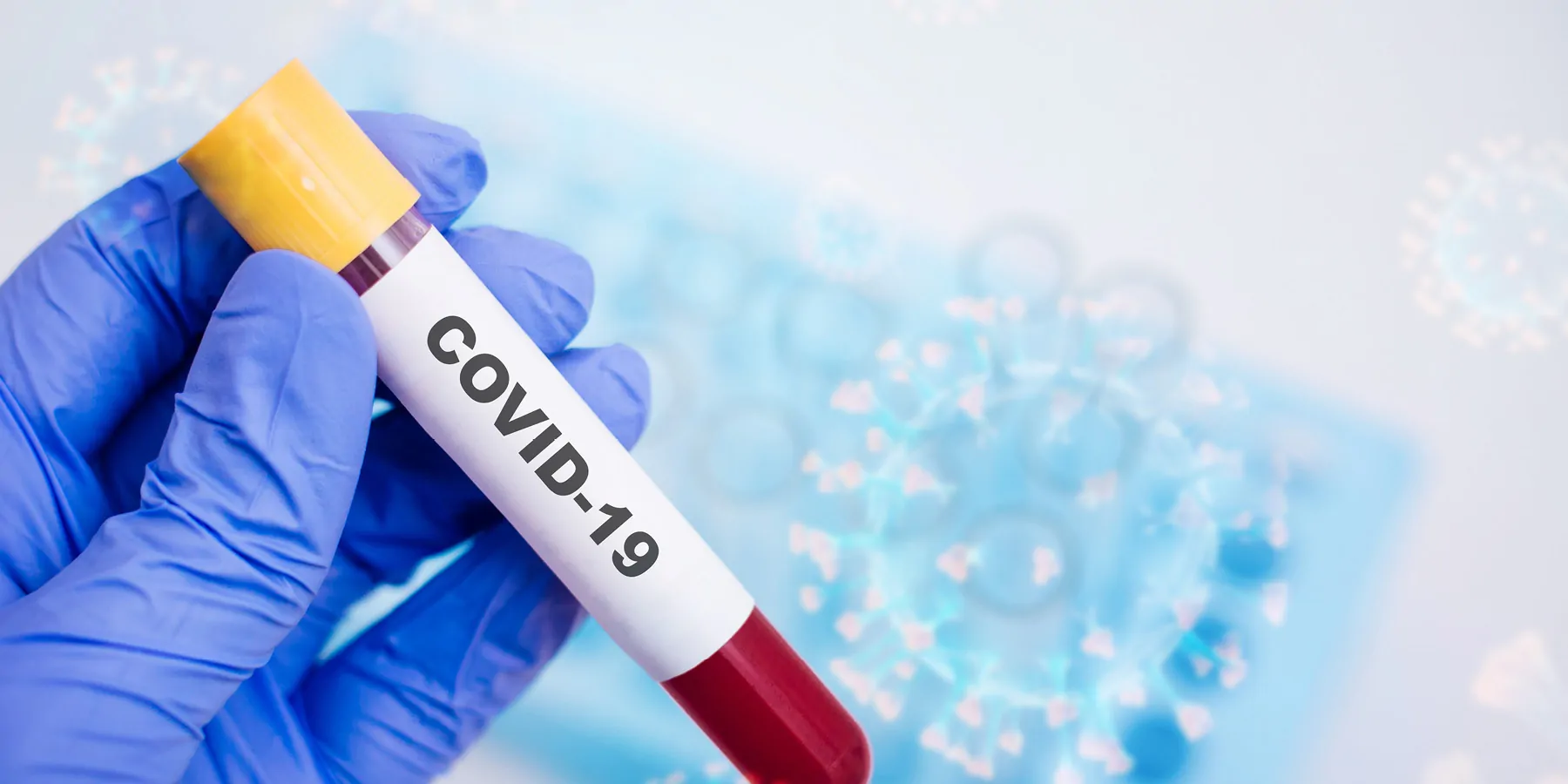 A gloved hand holds COVID-19 blood sample in a vacutainer with virus background.