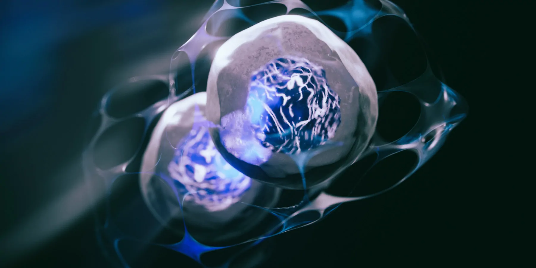 PD Patient Receives First-Ever Stem Cell-Based Transplant A 3D-rendered image of human stem cells that can differentiate into any other cell type.