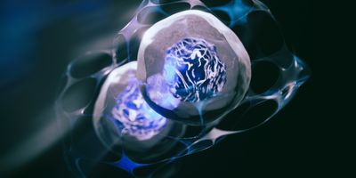 A 3D-rendered image of human stem cells that can differentiate into any other cell type.
