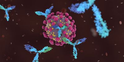 Computer-generated imagery of antibodies attacking COVID-19 